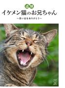 【追悼】イケメン猫のお兄ちゃん～思い出をありがとう～(猫パンチ)