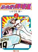 ぶったぎり野球道(2)