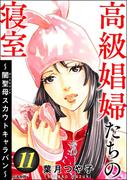 高級娼婦たちの寝室 ～闇聖母スカウトキャラバン～ （11）(ストーリーな女たち)
