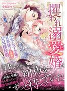 攫われ溺愛婚～みなし子令嬢の旦那様は十年来のお兄様侯爵でした～(ヴァニラ文庫)