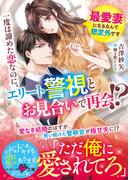 一度は諦めた恋なのに、エリート警視とお見合いで再会!?～最愛妻になるなんて想定外です～(ベリーズ文庫)