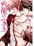 火龍の宝玉【電子単行本版】(Spicy Whip)