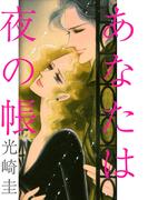 あなたは夜の帳(1)