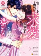 エリート上司は求愛の機会を逃さない３(エタニティCOMICS)