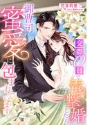 交際０日で電撃婚したら御曹司の蜜愛に包まれています(夢中文庫クリスタル)