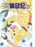 つれづれ猫日記(3)