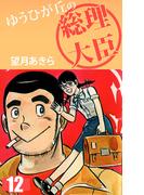 ゆうひが丘の総理大臣(12)