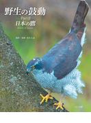 野生の鼓動 Part2 日本の鷹