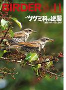 BIRDER2024年11月号