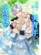 道端で拾った美青年はどうやら高貴なお方らしい【完全版】(アマゾナイトノベルズ)