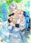 道端で拾った美青年はどうやら高貴なお方らしい（３）(アマゾナイトノベルズ)