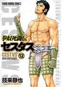 拳奴死闘伝セスタス（12）(ジェッツコミックス)