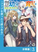 育成上手な冒険者、幼女を拾い、セカンドライフを育児に捧げる【分冊版】（ノヴァコミックス）３(ノヴァコミックス)
