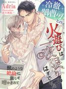 冷徹御曹司との火遊びは一夜限りのはずでした～獣のような絶倫に激しく啼かされて～(IRIEnovel)