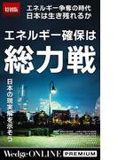 エネルギー確保は総力戦 日本の現実解を示そう【特別版】(WedgeONLINE PREMIUM)