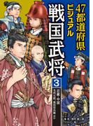 47都道府県ビジュアル戦国武将3　近畿・中国…毛利元就、黒田官兵衛ほか