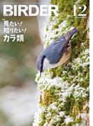 BIRDER2024年12月号