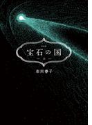 宝石の国（13）　特装版