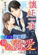 懐妊一夜で、エリート御曹司の執着溺愛が加速しました(マカロン文庫)