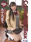 456枚収録　九十九ぱて　Complete Box(ラビリンス)