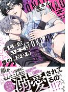 同じ顔のいとこは俺の顔が好き【電子限定特典付】(BL☆美少年ブック)