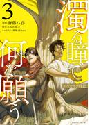濁る瞳で何を願う　ハイセルク戦記（３）