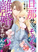 旦那サマ、そろそろ離婚しませんか？30(素敵なロマンス)