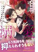 見ず知らずの許嫁に溺愛されてます 路頭に迷うはずがイケメン御曹司が迎えに来て!?(ルネッタブックス)