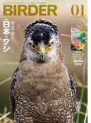 BIRDER2025年1月号