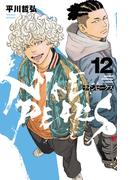 ナインピークス　NINE PEAKS　12(少年チャンピオン・コミックス)