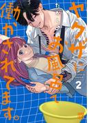 ヤクザにお風呂で働かされてます。【電子単行本】　2(A.L.C. DX)