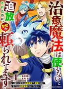 治癒魔法は使えないと追放されたのに、なぜか頼られてます～俺だけ使える治癒魔法で、聖獣と共に気づけば世界最強になっていた～4巻(グラストCOMICS)
