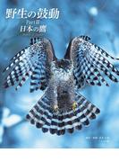 野生の鼓動 PartIII 日本の鷹
