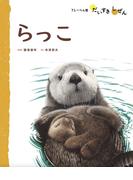 らっこ(フレーベル館だいすきしぜん)