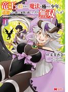 竜王に拾われて魔法を極めた少年、追放を言い渡した家族の前でうっかり無双してしまう～兄上たちが僕の仲間を攻撃するなら、徹底的にやり返します～（コミック） ： 1(モンスターコミックス)