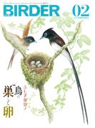 BIRDER2025年2月号