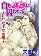 白き誘惑に囚われて～紅になずむ荒鷲～(BL宣言)