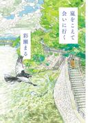 嵐をこえて会いに行く