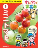 ミニトマト