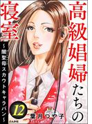 高級娼婦たちの寝室 ～闇聖母スカウトキャラバン～ （12）(ストーリーな女たち)