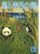 星と半月の海(講談社文庫)