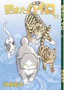 猫またハイロ11巻(GirlsCREATIVE)