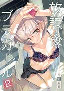 放課後ブラガール2(DLManiax)