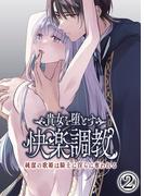 貴女を堕とす快楽調教-純潔の歌姫は騎士に淫らに奪われる-2(GirlsCREATIVE)