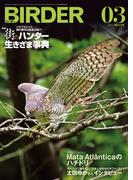 BIRDER2025年3月号