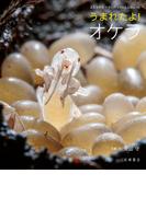 うまれたよ！ オケラ