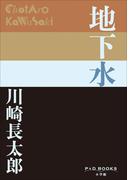 P+D BOOKS　地下水(P+D BOOKS)