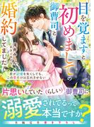目を覚ますと初めましての御曹司と婚約してました～君が記憶を失くしても、この愛だけは忘れさせない～【電子限定SS付き】(ベリーズ文庫)