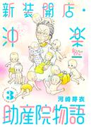 新装開店・沖楽助産院物語 3(女たちのリアル)