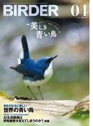 BIRDER2025年4月号